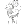...Schwarzenegger holding his labrador/Pen on paper/16x12in/2021
