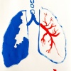 Flashe vinyl paint and acrylic on paper/17x14in/2021
