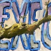 Acrylic on canvas/14x18in/2026