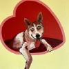 Acrylic on canvas/30x30in/2025