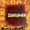 Acrylic on canvas/12x12in/2026
