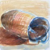 Pencil, crayon and watercolor on arches paper/12x12in/2022